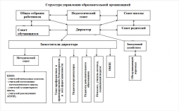 Структура органов управления МАОУ Нижегородская СШ